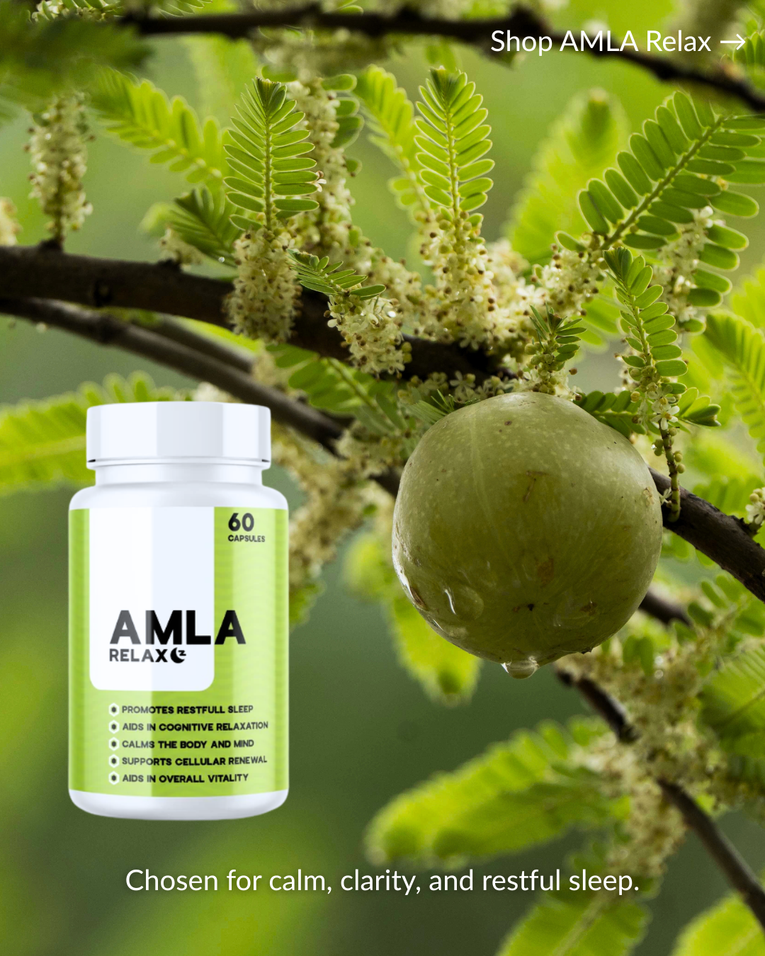 AMLA brand story 3
